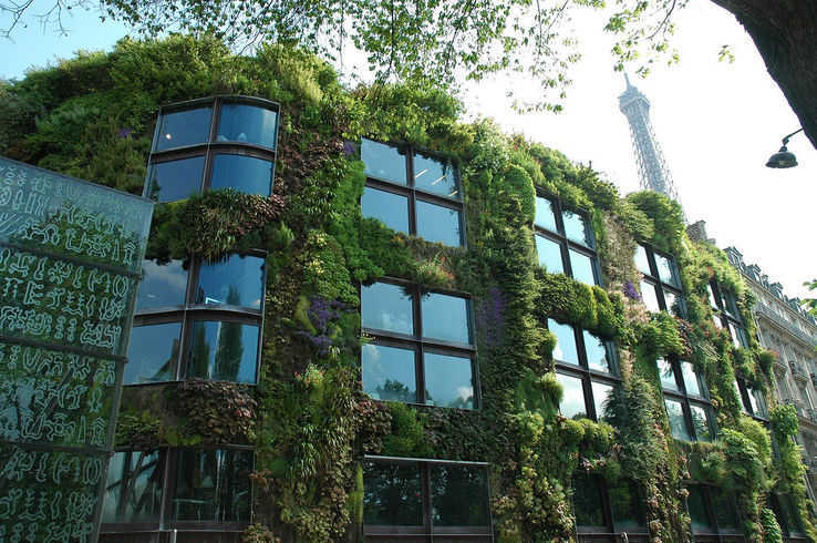 Edilizia vegetale: più efficienza energetica con le superfici dell’edificio ricoperte di piante